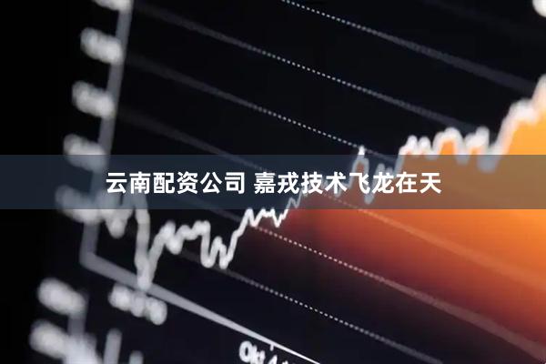 云南配资公司 嘉戎技术飞龙在天