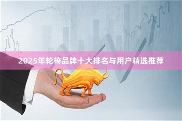 2025年轮椅品牌十大排名与用户精选推荐